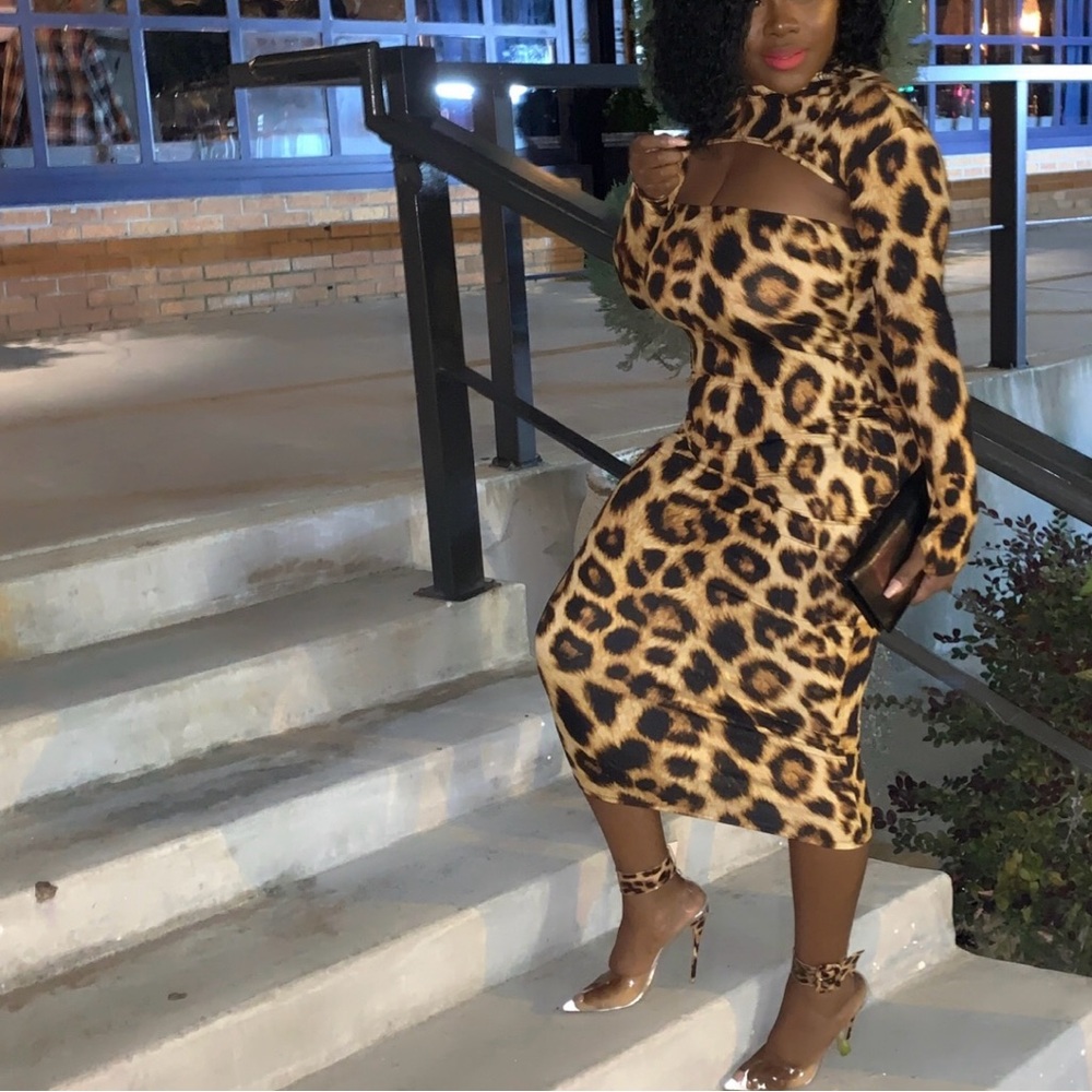 Leopard Print Two Piece Dress